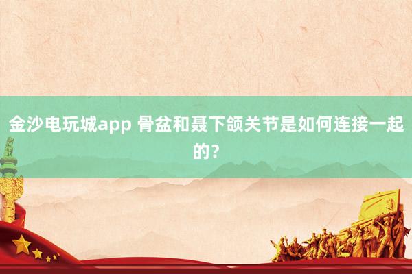 金沙電玩城app 骨盆和聶下頜關節(jié)是如何連接一起的？