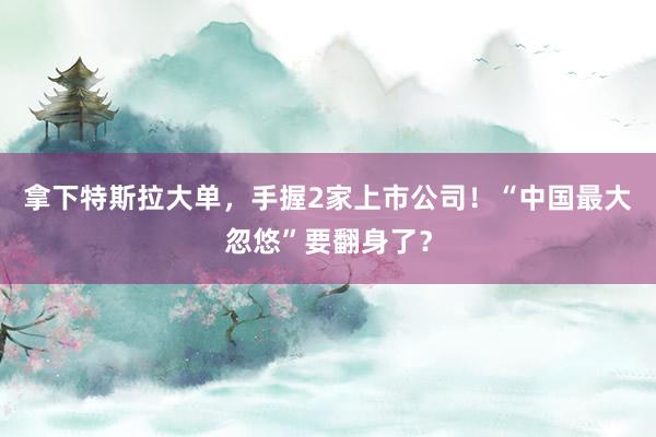 拿下特斯拉大單，手握2家上市公司！“中國最大忽悠”要翻身了？