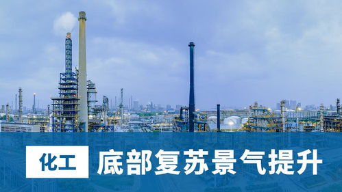 底部復(fù)蘇景氣提升,堅(jiān)定看好化工龍頭溢價(jià)