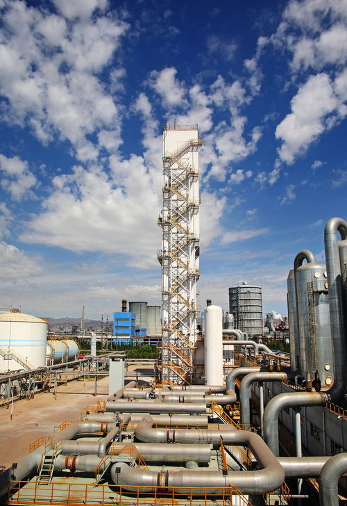 基礎(chǔ)化工行業(yè) 把握確定性強(qiáng)的子賽道