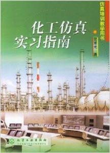 化工仿真實(shí)習(xí)指南