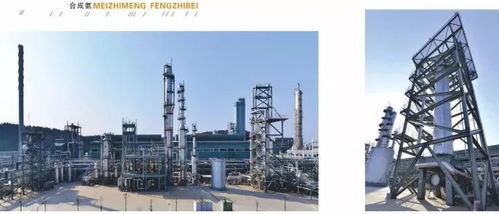 四川美豐創新工藝通過科技成果鑒定，化工行業再添新突破